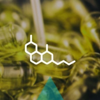 How CBD Oil is Made