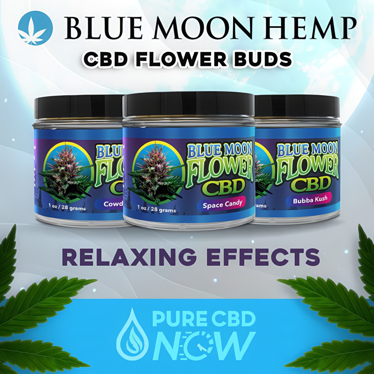 Blue Moon Hemp CBD Flower Buds in Jar