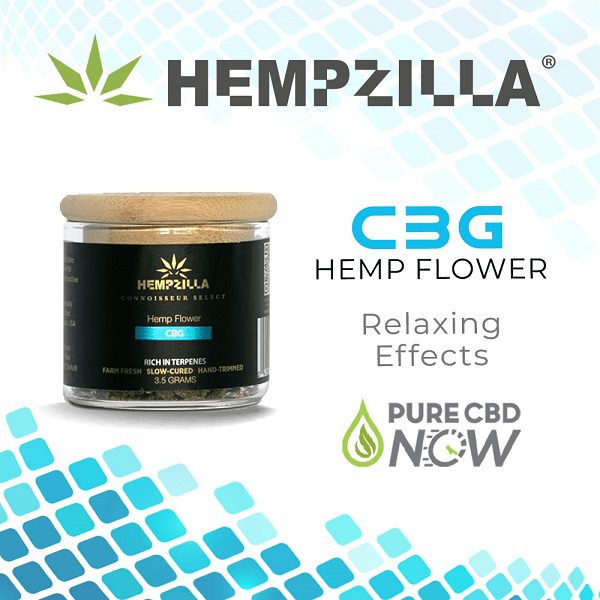 Buy online Hempzilla CBG Hemp Flower JAR