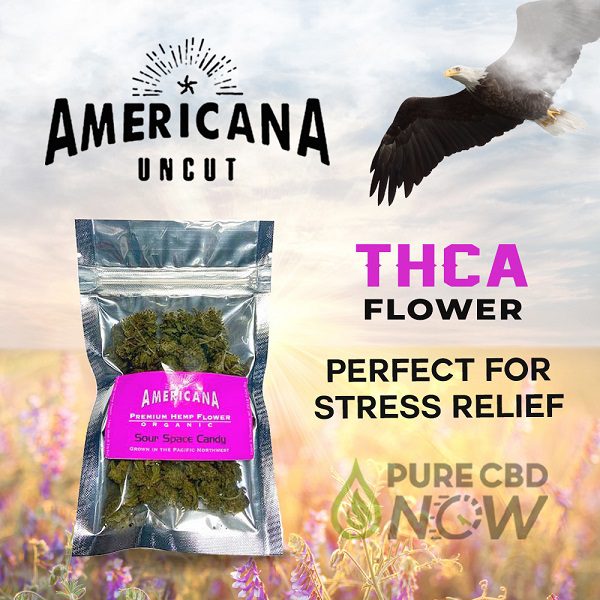 Buy online Americana CBD Flower Buds