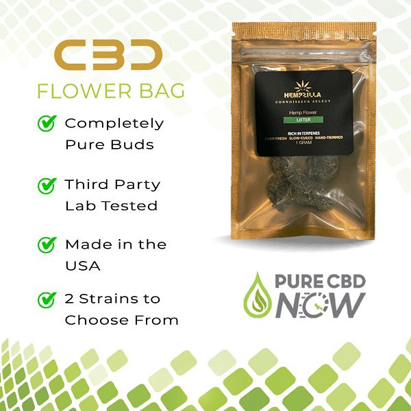 Buy Hempzilla CBD Flower Bag online