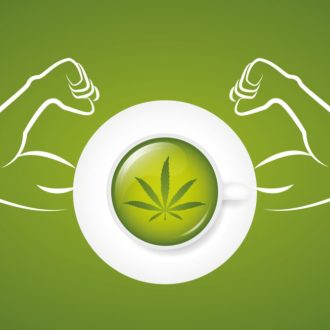 Which “THC” is the Strongest: THC-P, THC-O, THCV, or HHC?