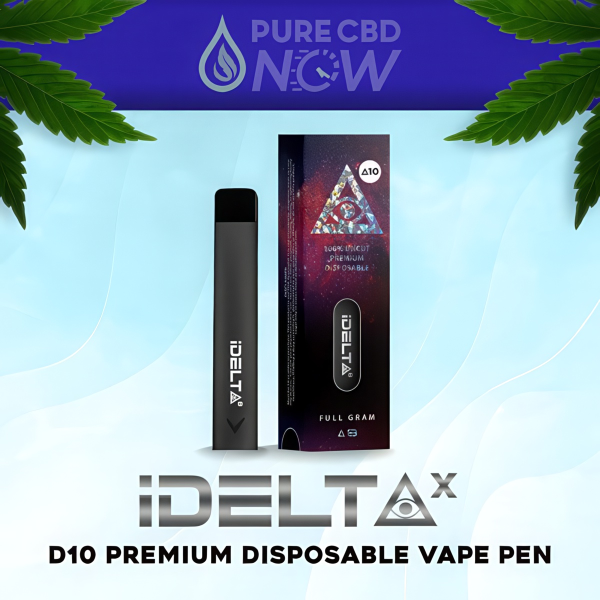 Disposable Delta 10 Vape Pen