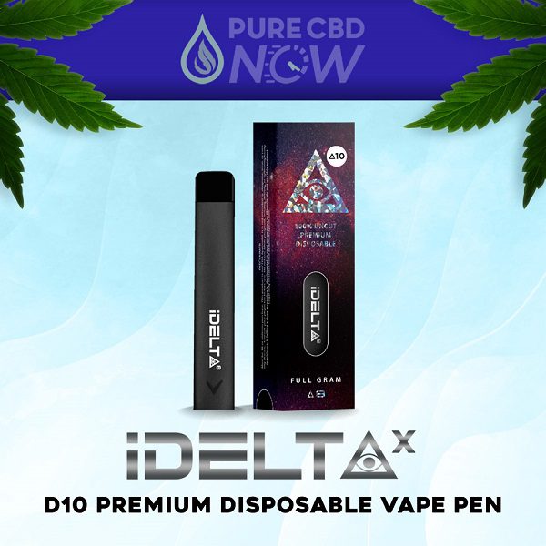 Disposable Delta 10 Vape Pen