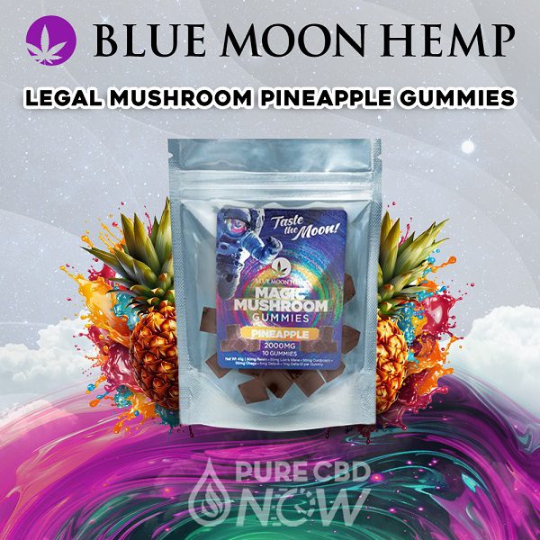 Blue Moon Hemp Mushroom Pineapple Gummies 2000mg (10ct)