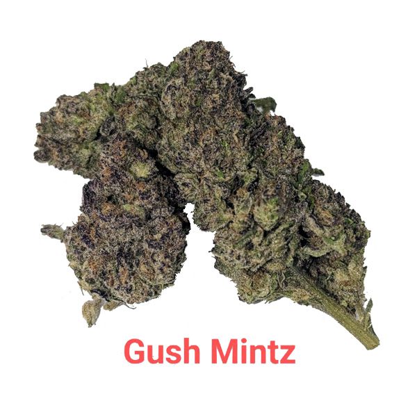 Gush Mintz- THCA Flower