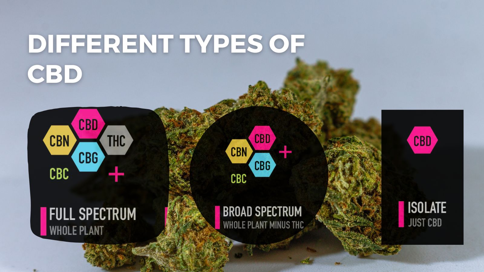 Different types of CBD