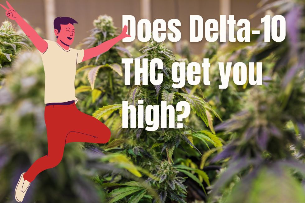 Does Delta-10 THC get you high