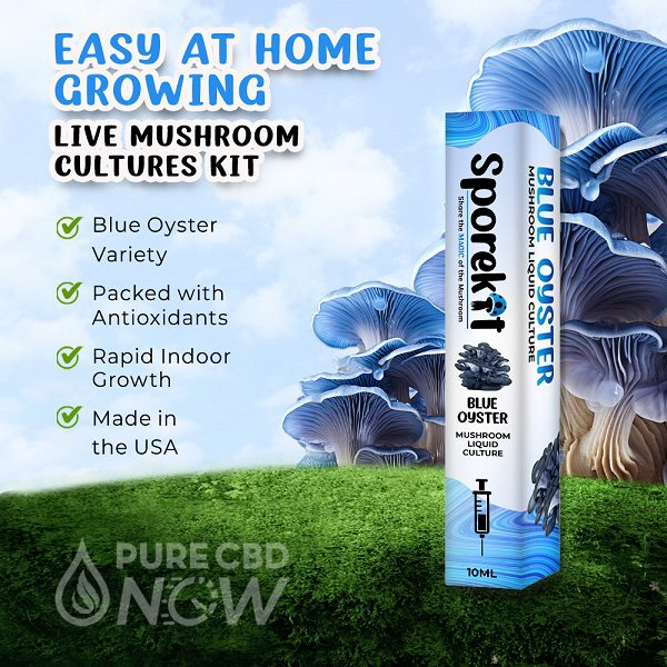 Sporekit Blue Oyster Mushroom Liquid kit 10mL