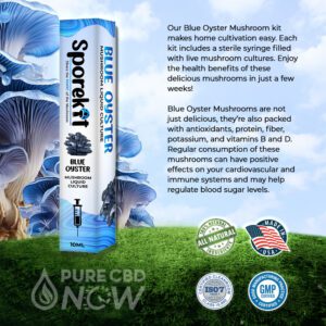 Blue Oyster Mushroom kit by Sporekit
