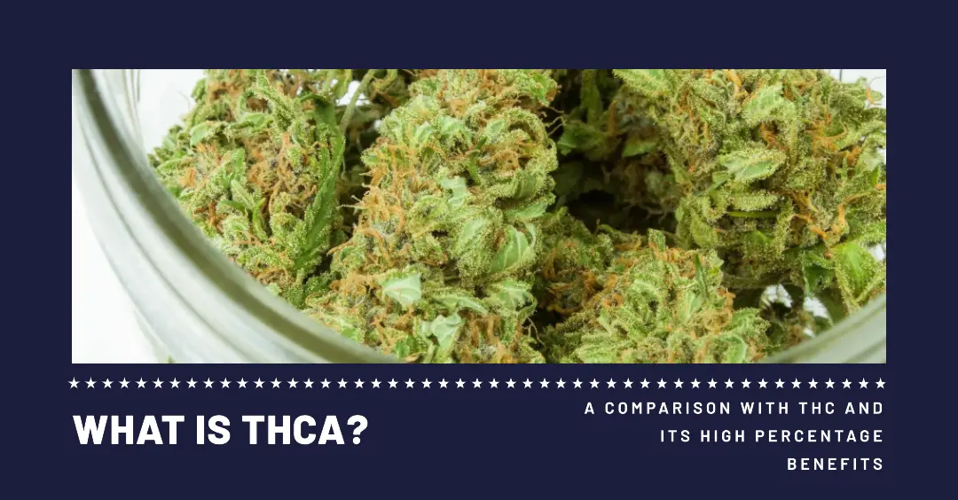 What Is THCA featured image showing thca flowers and article title below it