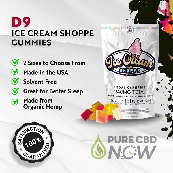 Buy D9 Ice Cream Shoppe