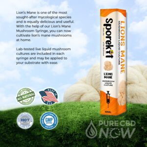 Golden Oyster Mushroom Liquid 10ml by Sporekit
