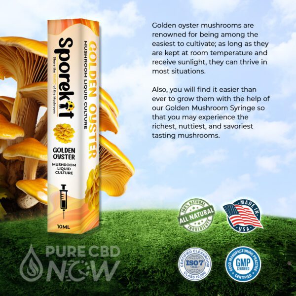 Golden Oyster Mushroom Liquid