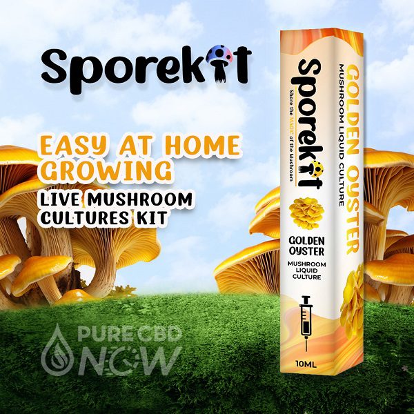 Sporekit Golden Oyster Mushroom Liquid 10ml