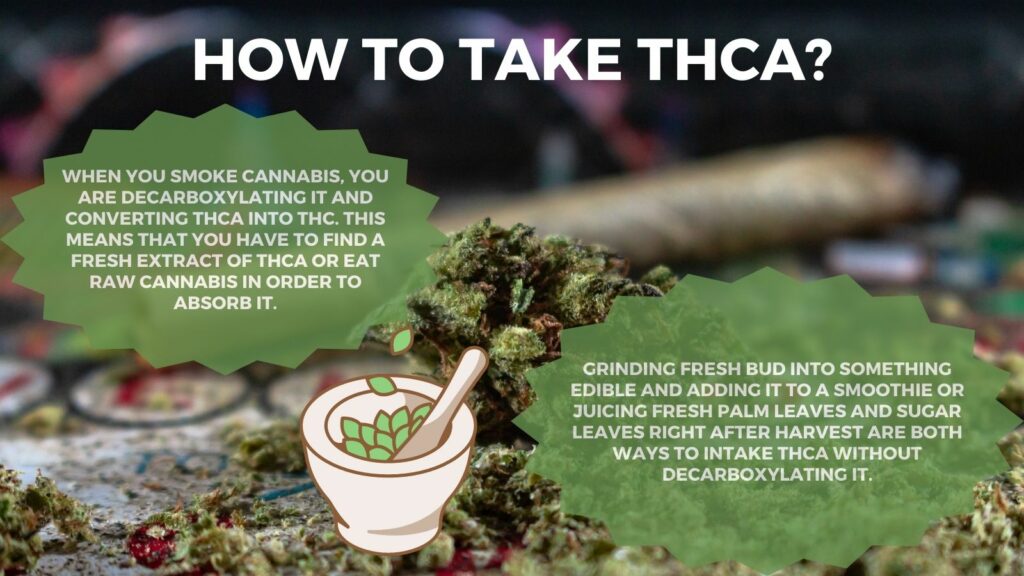 How-to-Take-THCA