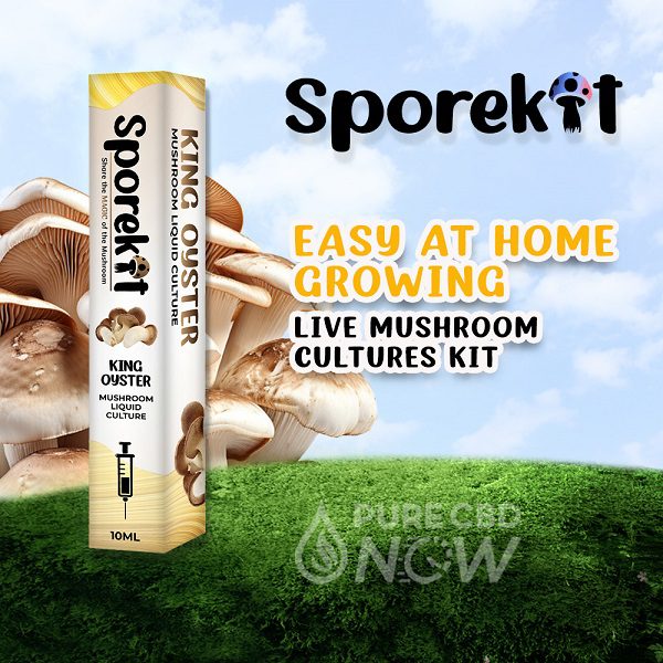 King Oyster Mushrooms Liquid 10ml by Sporekit