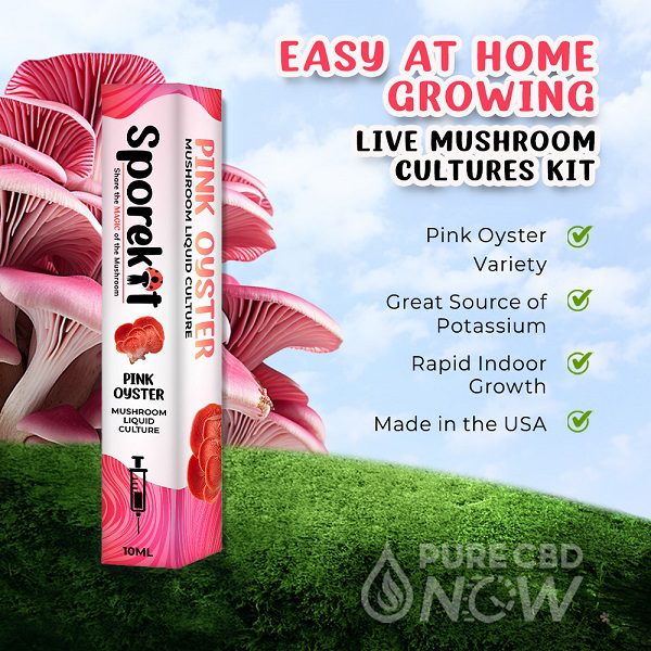 Sporekit Pink Oyster Mushroom Liquid 10mL