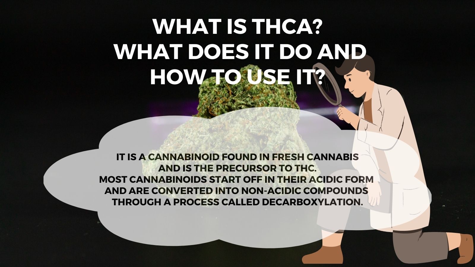 What is THCA and What does it do and how to use it