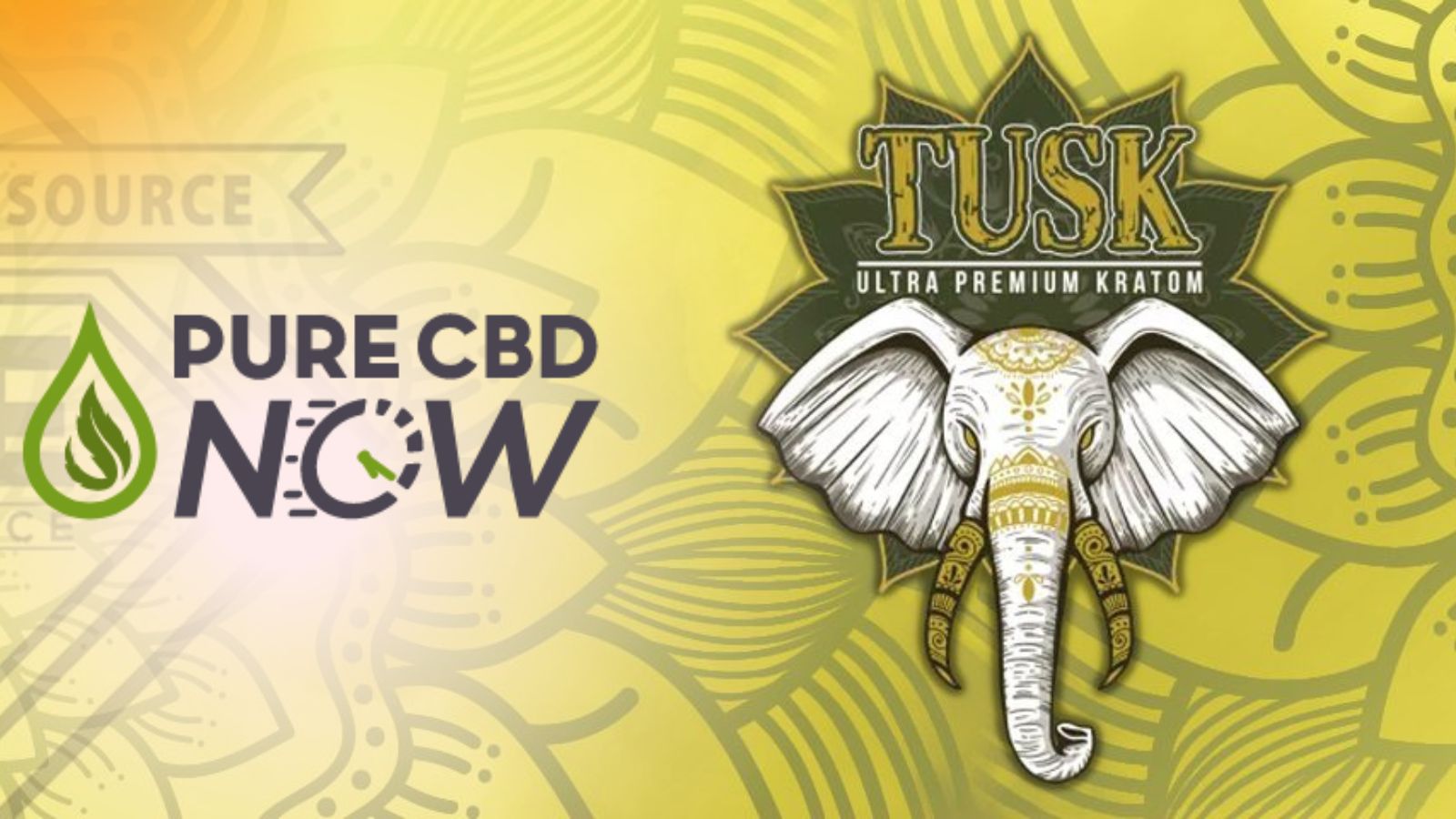 PureCBDNow Now Carries Tusk Kratom- A Fusion of CBD and Kratom