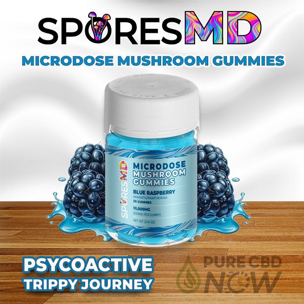 Amanita Microdose Mushroom Gummies 10,000mg – Blue Raspberry Flavor by SporesMD