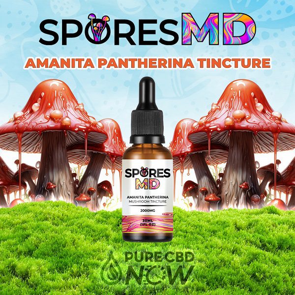 Amanita Pantherina Mushroom Tincture 2000mg by SporesMD