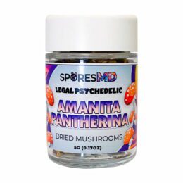 SporesMD Amanita Pantherina Dried Mushrooms 5g