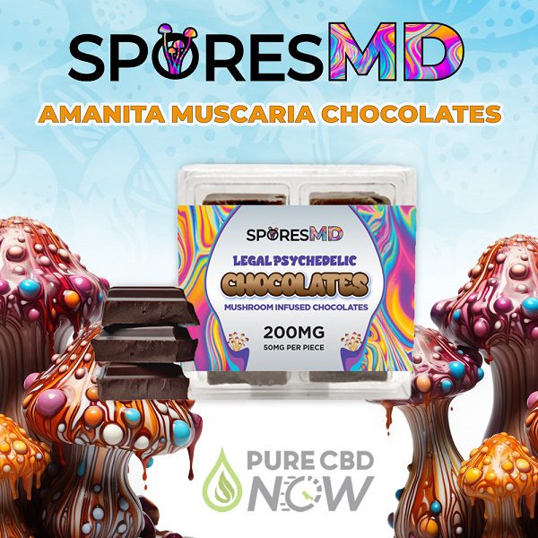 SporesMD Amanita Mushroom Infused Chocolates 200mg - 50mg per piece