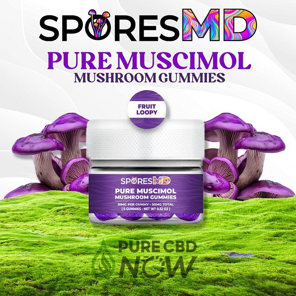 Pure Muscimol Gummies 50mg Total – Fruit Loopy flavor by SporesMD