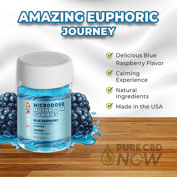 SporesMD Amanita Microdose Gummies 10,000mg – Blue Raspberry Flavor
