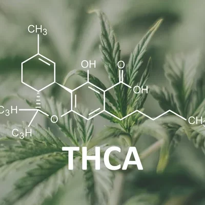 THCA Chemical Reaction Image