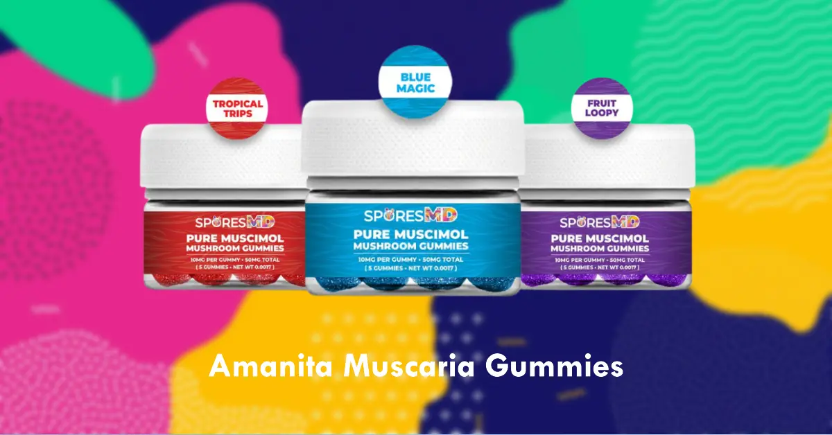 3 SporesMD Amanita Gummies Products next to each other with a title below them spelling 'amanita muscaria gummies'