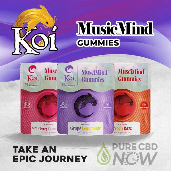 Koi MusciMind Gummies – 10 Gummies Per Bag - Available in Grape Lemonade, Raspberry Peach, and Strawberry Cotton Candy flavors