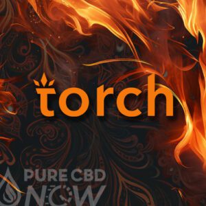 torch