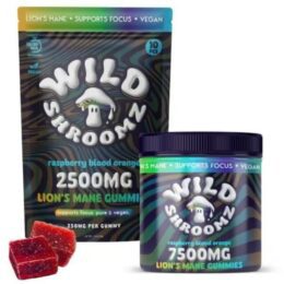 Wild Shroomz Mushroom + Delta 9 Gummies “Lions Mane” 10 Pack Bag