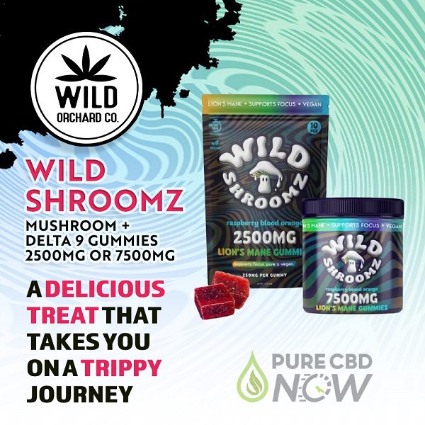 Wild Shroomz Mushroom + Delta 9 Gummies 2500mg or 7500mg by Wild Orchard