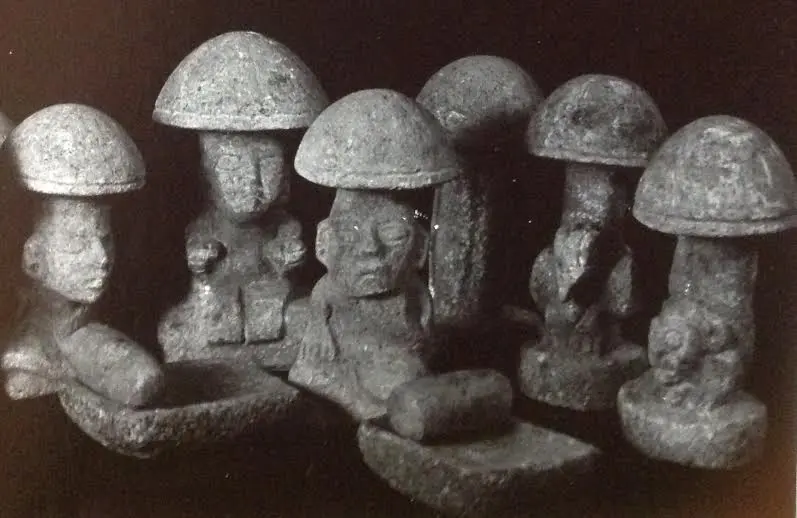 Mayan mushroom stones discovered in Guatemala
