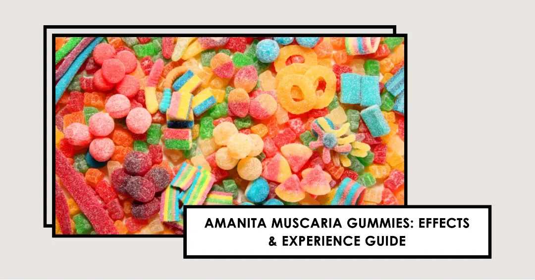 Amanita Muscaria Gummies: Effects & Experience Guide