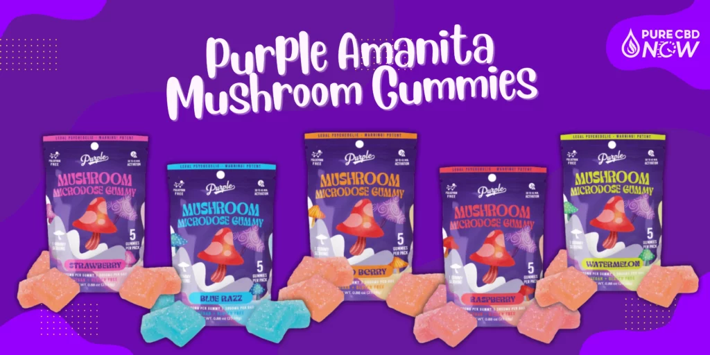 A vibrant display of Purple Amanita Mushroom Gummies