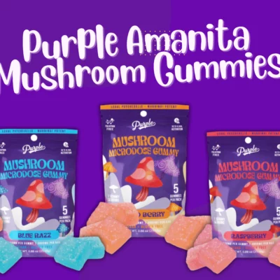 purple amanita mushroom gummies review