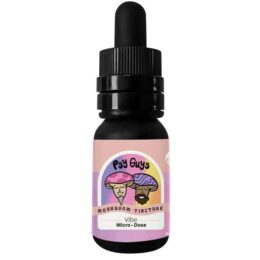 Psy Guys Micro-Dose Mushroom Tincture 10ml – Vibe