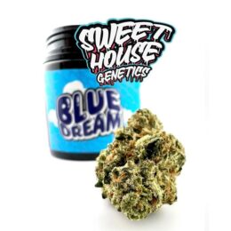 Sweet House Genetics Premium Blue Dream THC-A Flower - 3.5g