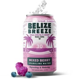 Wild Orchard D9 THC Infused Sparkling Water 30mg - Mixed Berry