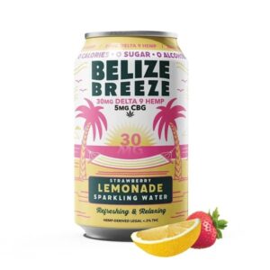 Wild Orchard D9 THC Infused Sparkling Water 30mg - Strawberry Lemonade
