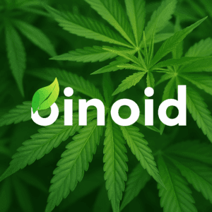 Binoid
