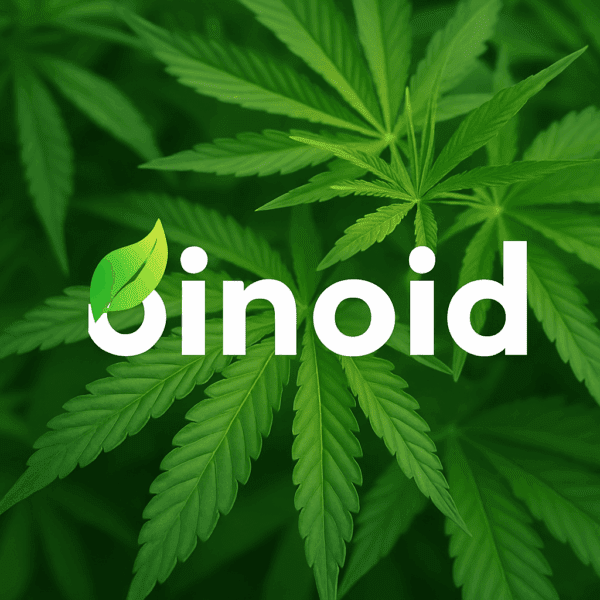 Binoid logo