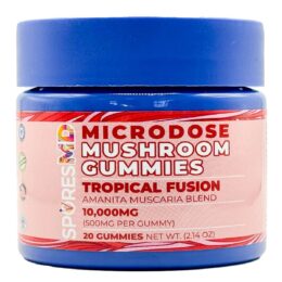 Microdose Mushroom Gummies 10000mg | 20ct